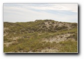 [Click to enlarge]